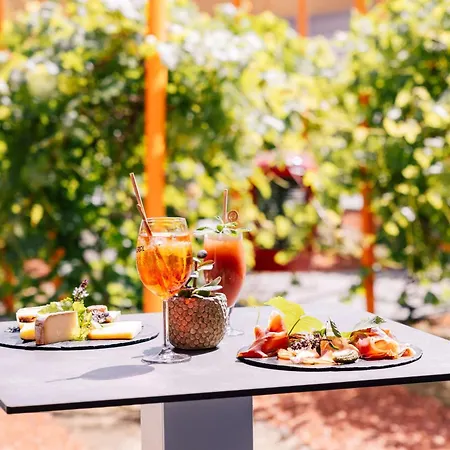 Radisson Blu Hotel Toulouse Airport-3